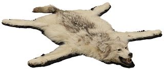 TAXIDERMY ALASKAN WOLF RUG, 71" X 58"