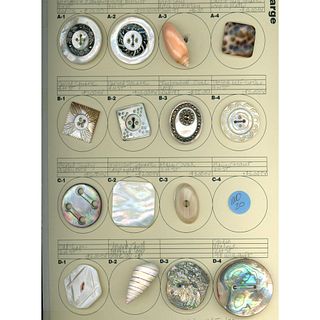 A card of assorted division 1 & 3 shell buttons