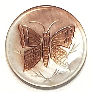 A division one hand carved Butterfly button
