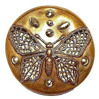A division one pierced pictorial insect button