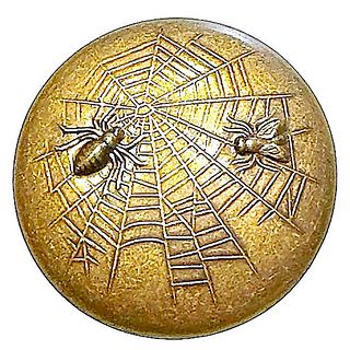 A division one pictorial brass insect button