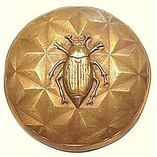 A division one brass pictorial insect button