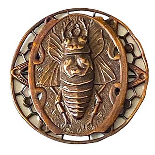 A division one detailed brass pictorial bug button