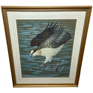  OSPREY SWOOPING DOWN ON PIKE FISH WATERCLOUR PAINTING