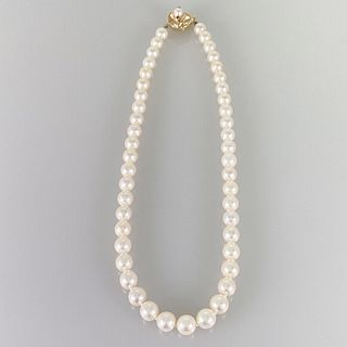 AKOYA PEARL RUBY 18K YELLOW GOLD NECKLACE