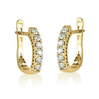 14kt Yellow Gold 0.62ctw Diamond Earrings