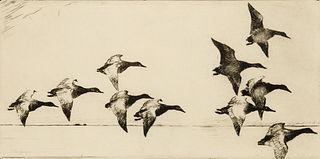 Frank Weston Benson (Am. 1862-1951), Canvasbacks, 1926, Etching, matted