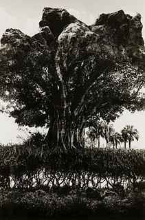 Jerry Uelsmann (Am. 1934-2022), "Rock Tree" 1969, Gelatin silver print, framed under glass 