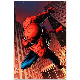Marvel Comics "Amazing Spider-Man #641" Numbered Limited Edition Giclee on Canvas by Joe Quesada with COA.