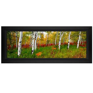 Jongas, "Autumn Fresh" Framed Limited Edition on Canvas, Numbered and Hand Signed with Letter of Authenticity.