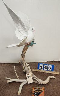 Boehm Dove Of Peace 10049 M 29" From The Norman Vincent Peale Foundation