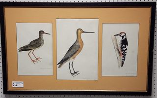 Framed Print Triptych Of Birds 16" X 10 1/2" + Pr 13 3/4" X 9"