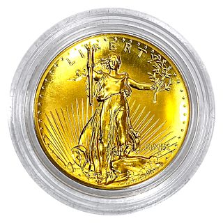 2009 US Mint Ultra High Relief Dbl. Eagle 1oz Gold