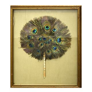 Vintage Peacock Feather in Shadowbox Frame