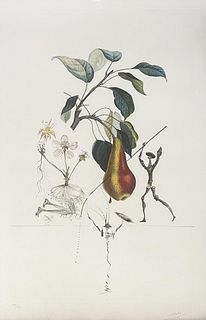 Salvador Dali - Poire Don Quixote (Pear)