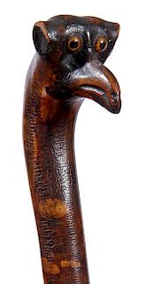 351. Crazy Bird Folk-Art Cane – Ca. 1880 – An unusual carved bird with two-colored glass eyes and a rich spotted natural