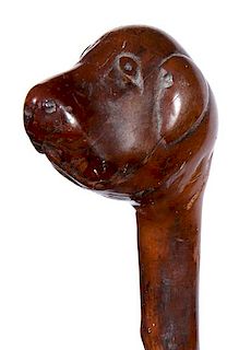 380. “Big Dog” Folk-Art Cane – Ca. 1875 – A beautiful stylized carving of a “Big Dog”, one-piece twigspur shaft a
