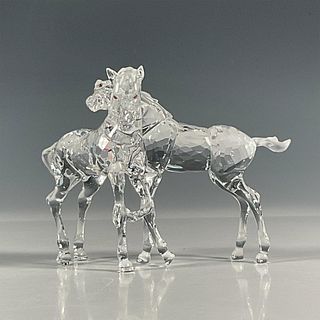 Swarovski Crystal Figurine, Foals