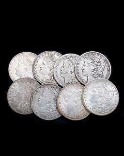 A Group of 8 Various Year Morgan Liberty Silver Dollar Coins