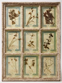 Framed 1905 Florentine Botanicals