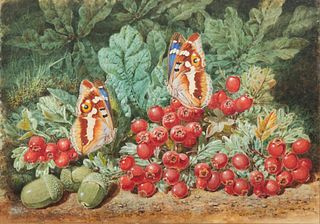 Victor LeClaire, (British, 1830-85) Watercolor on Paper, "Purple Emperor Butterflys Perched on Red Currants And Green Acorns", H 7" W 10"