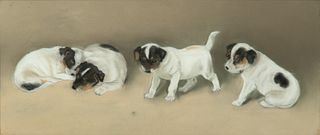 American Gouache And Charcoal on Paper 1900-1920, "Four Puppies", H 8" W 18"