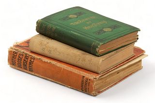 'Tom Sawyer', 'Trilby' & 'Mother Goose Nursery Rhymes' Books, Ca. 1900, H 9.25" W 1.75" Depth 7" 3 pcs