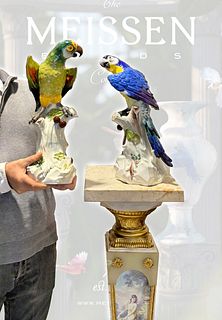 A Pair Of Large 19th C. German Meissen Parrots, Signed