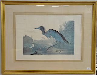 After John James Audubon, after Havell, colored print, "Blue Crane or Heron", elephant folio size, framed and matted, sight s