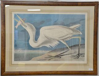 After John James Audubon, after Havell, colored print, "Great White Heron, Ardea Occidentalis", elephant folio size in burl f