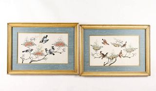 Group of Two Chinese Pith Paper Bird Paintings