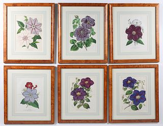 Set of Six Horto Van Houtteano Belgian Clematis Botanical Prints, circa 1858