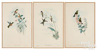Three Gould & Richter hummingbird lithographs
