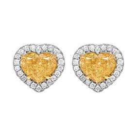 GIA  5.14 ct. Fancy Yellow Halo Stud Earrings in 18K White Gold