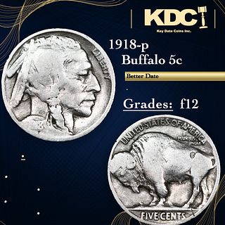 1918-p Buffalo Nickel 5c Grades f, fine