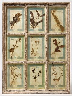 Framed 1905 Florentine Botanicals