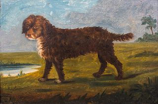 PORTRAIT OF A PORTUGUESE WATER SPANIEL OIL PAINTING