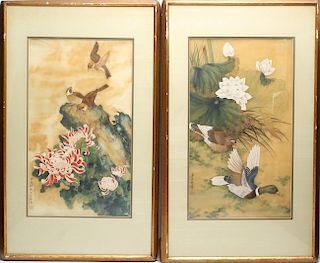 Pair of Chinese Inks on Silk of Birds & Flowers