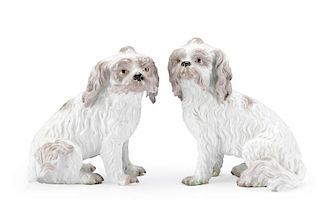 Pair, Meissen Porcelain Bolognese Dog Figurines