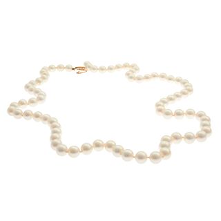 Cultured Pearl, 14k Yellow Gold Necklace