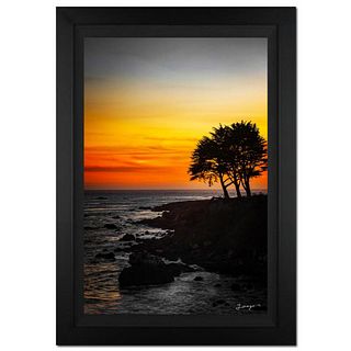 Jongas, "Deep Longing" Framed Limited Edition Photograph on Canvas, Numbered and Hand Signed with Letter of Authenticity.