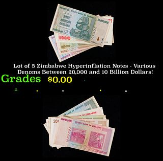 Lot of 5 Zimbabwe Hyperinflation Notes - Various Denoms Between 20,000 and 10 Billion Dollars! Grades