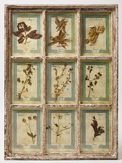  Framed 1905 Florentine Botanicals