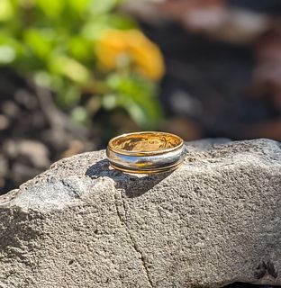 Mens Two Toned Wedding Band