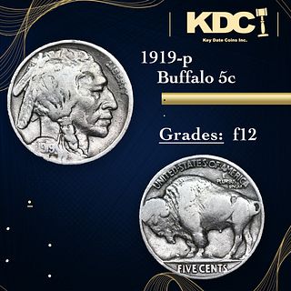 1919-p Buffalo Nickel 5c Grades f, fine