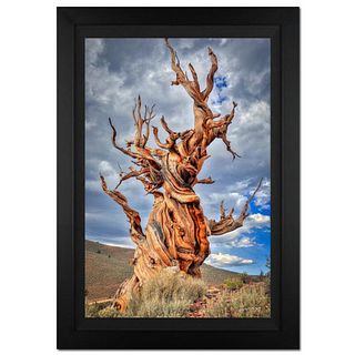 Jongas, "Witness Of Time" Framed Limited Edition Photograph on Canvas, Numbered and Hand Signed with Letter of Authenticity.