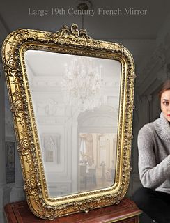 A Large 19th Century French Framed Wall Mirror