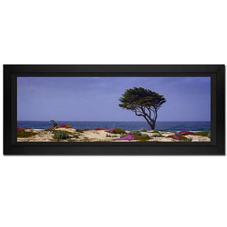 Jongas, "Relentless" Framed Limited Edition Photograph on Canvas, Numbered and Hand Signed with Letter of Authenticity.