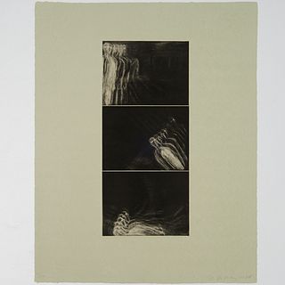 Susan Rothenberg, intaglio mezzotint, 1987-88