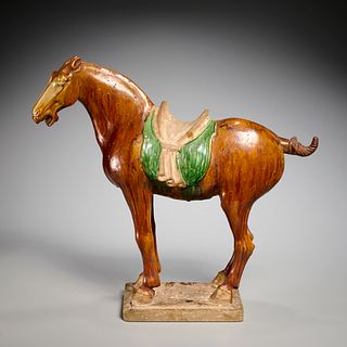 Large Tang style glazed pottery horse